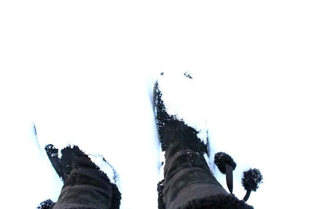 Snowy Weather and Warm Chicken Pot Pie