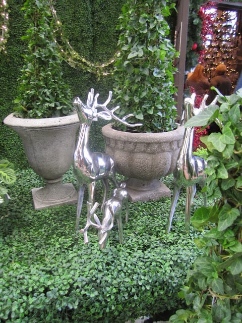 Holiday Time at Roger’s Gardens