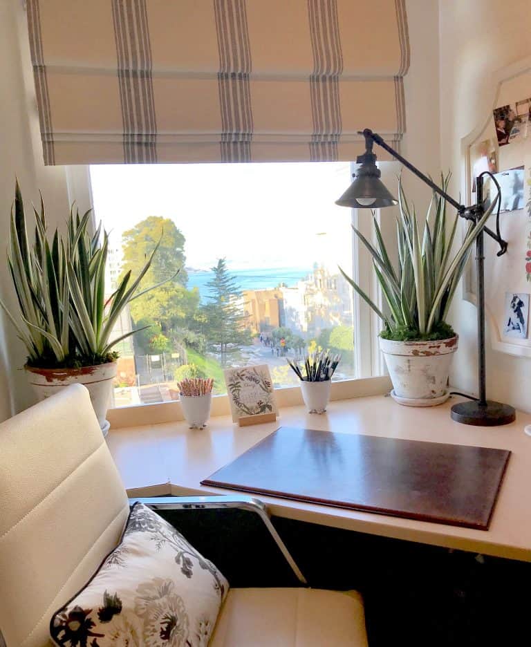 HOUSE PLANTS…What Survives and Why You Need Them Now