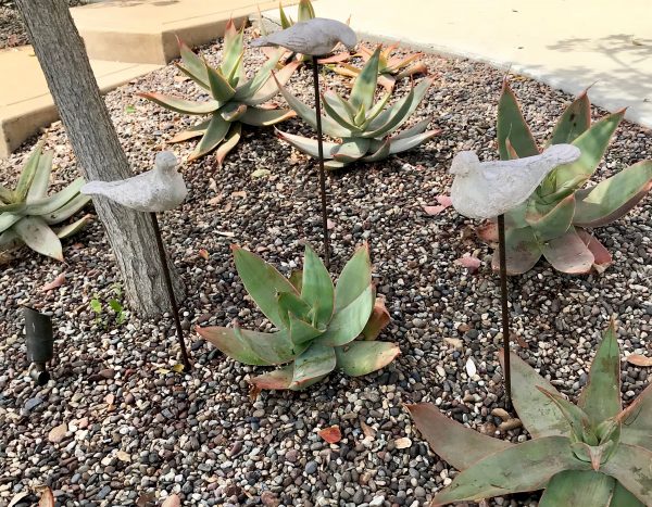Drought Tolerant Plants for Curb Appeal