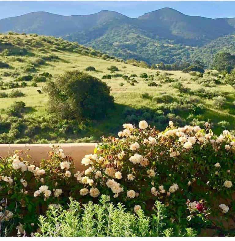 Cindy Hattersley’s Collected Look at Her California Ranch