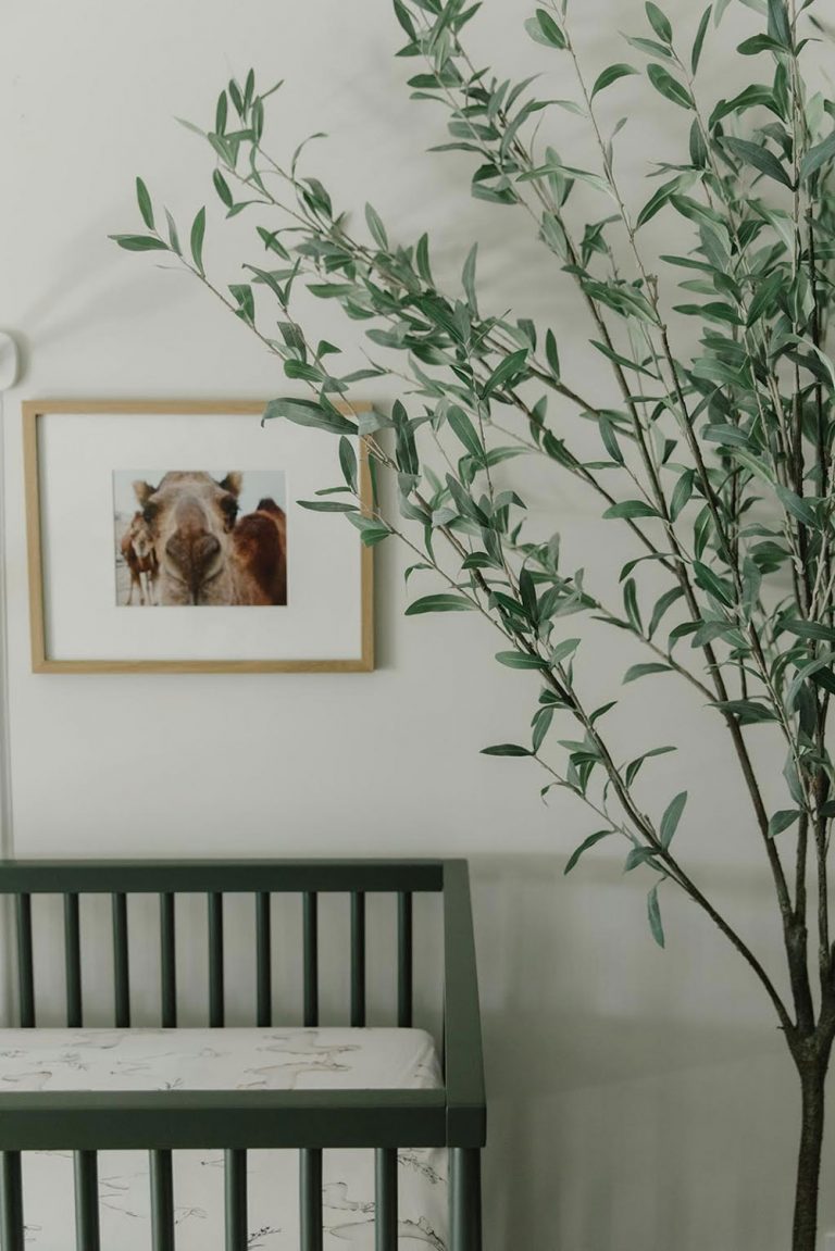 Mary Ann Pickett's Nursery design