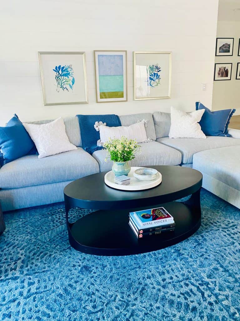 light blue sectional with oval coffee table