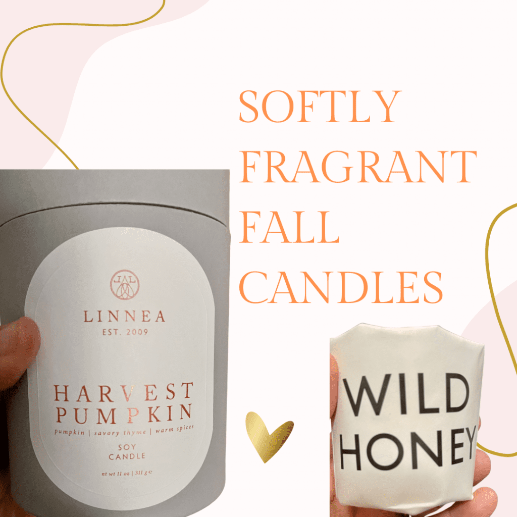 Subtly Scented Fall Candles Harvest Pumpkin and Wild Honey candles for Fall