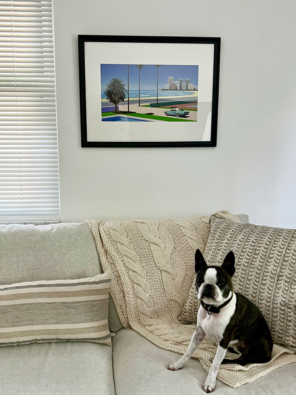 neutral pillows and Boston Terrier that looks luxe