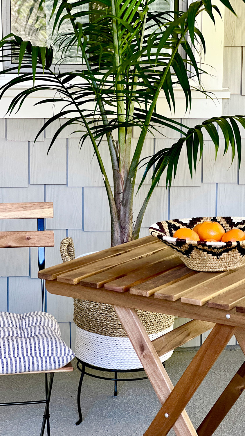 folding chair and palm tree