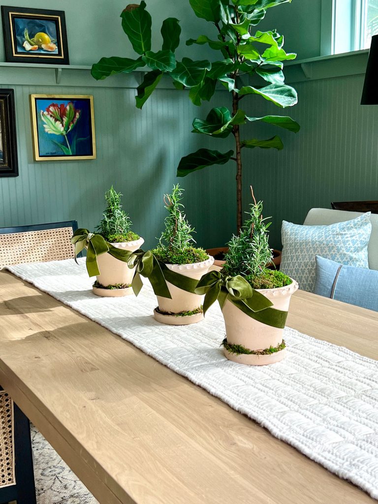 mini rosemary Christmas trees