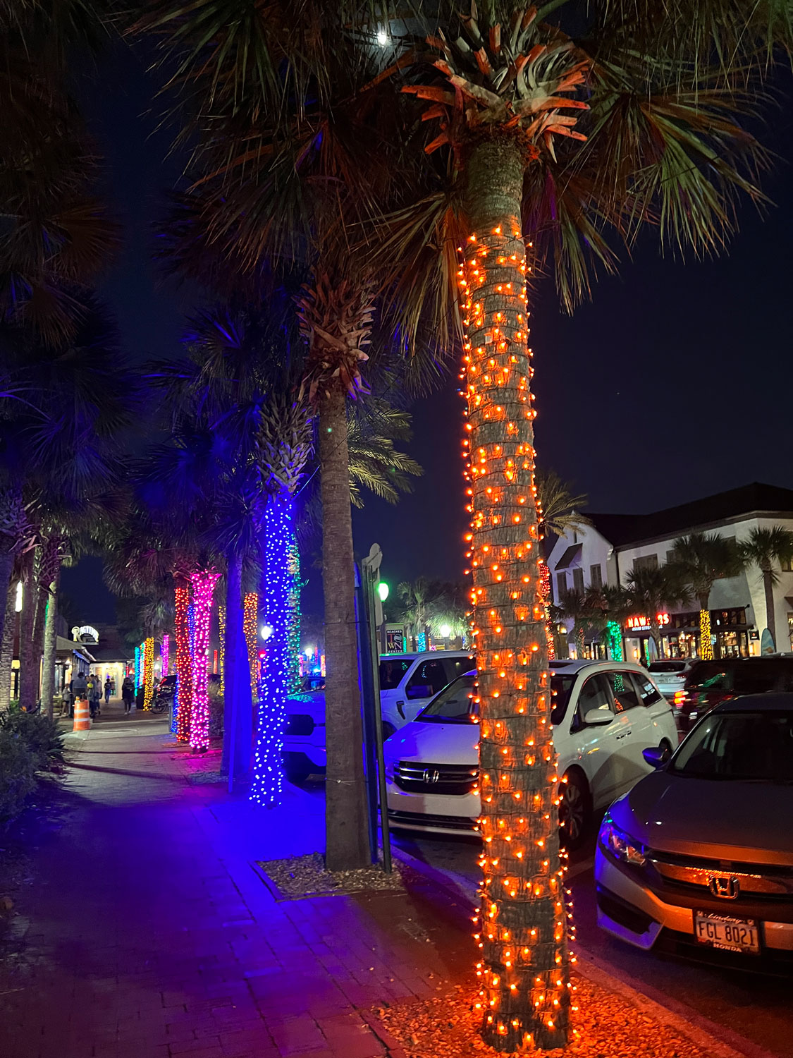 birghtly lit palm trees