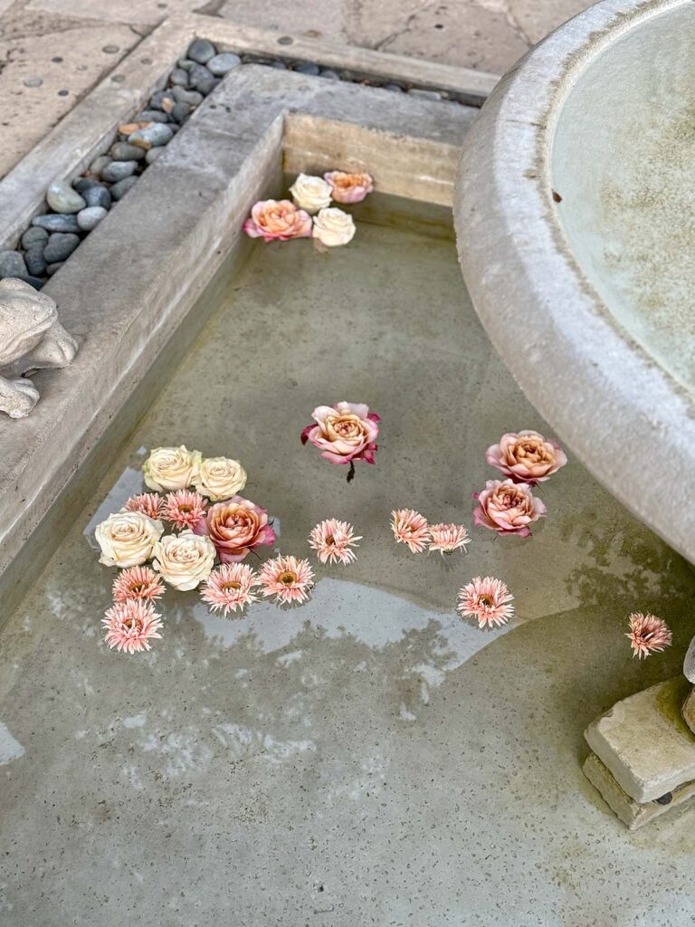 Stunning Austin Wedding, Casual Holiday Outfits And More