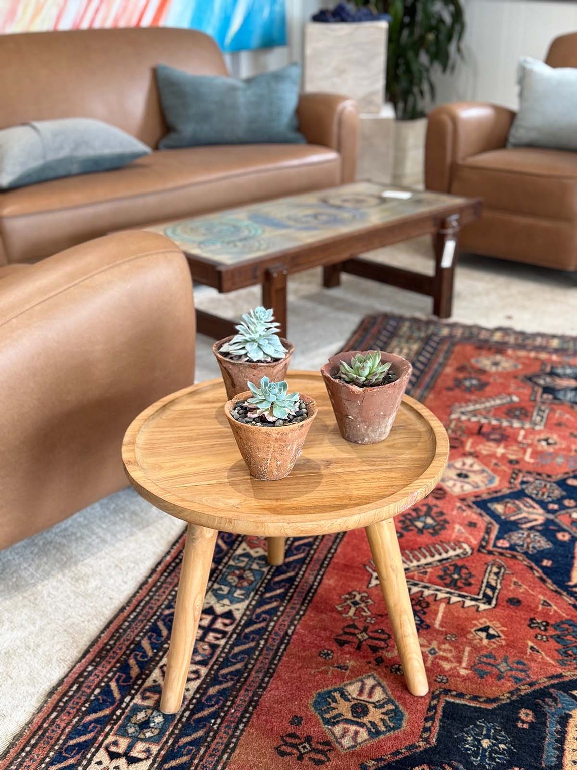 Easy Fall Succulent Arrangements To Make At Home | Classic Casual Home